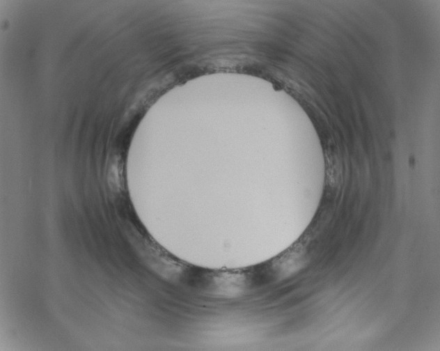 X0000067520718200605051854