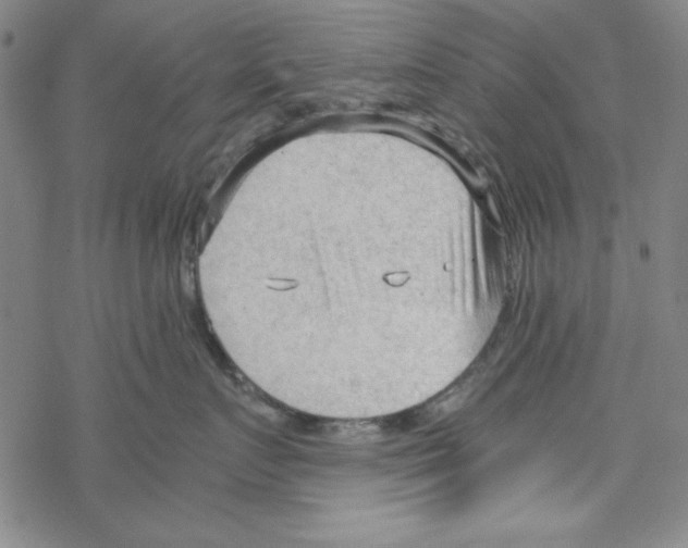 X0000067520719200605051854