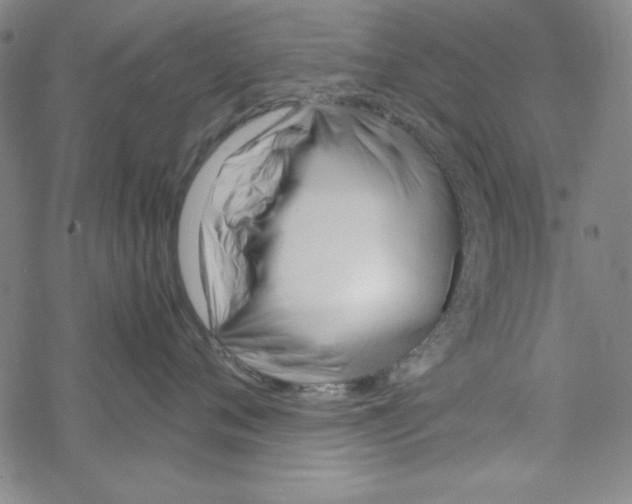 X0000067520720200605051854