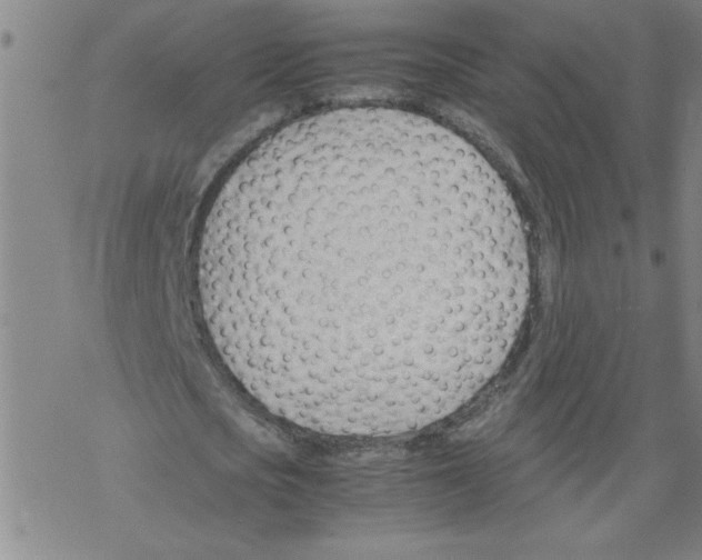 X0000067520721200605051854