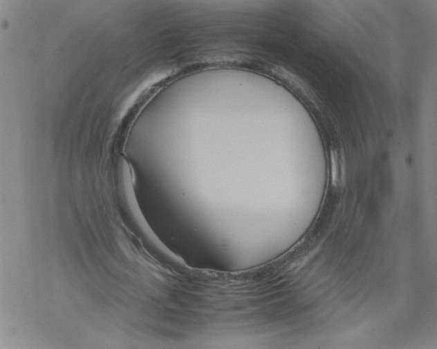 X0000067520723200605051854