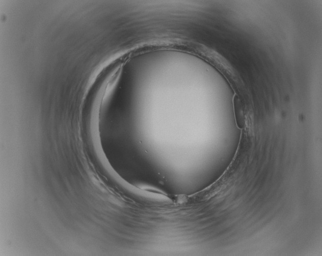 X0000067520724200605051854