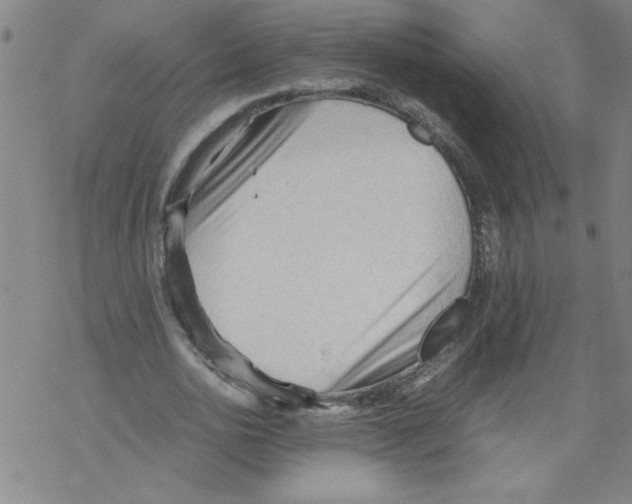 X0000067520726200605051854