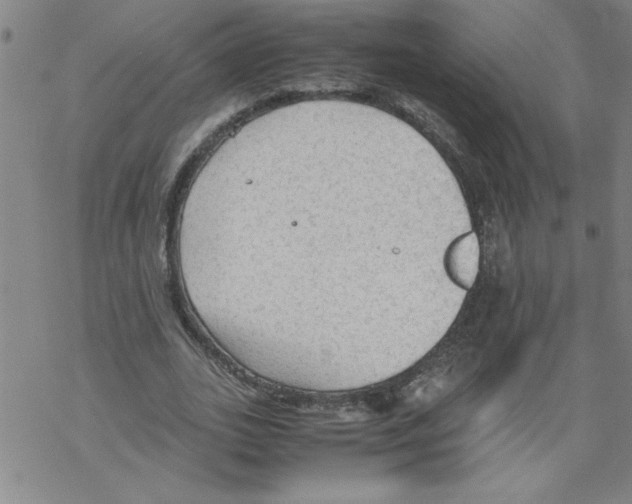 X0000067520727200605051854