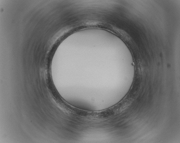 X0000067520728200605051854