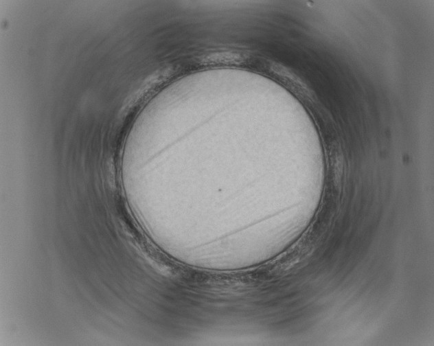 X0000067520729200605051854