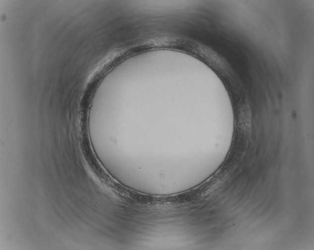 X0000067520730200605051854