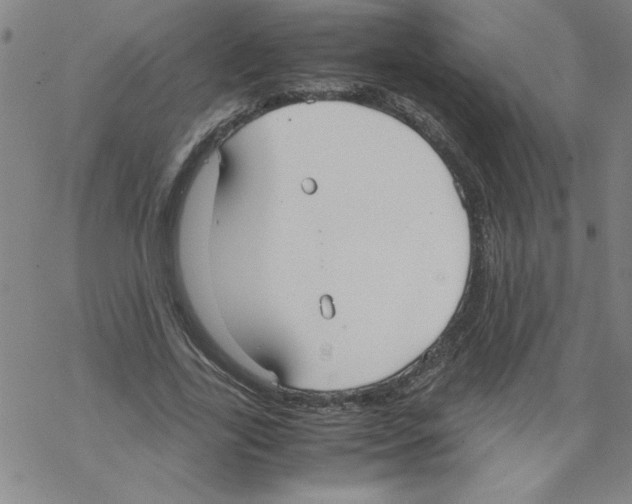 X0000067520731200605051854