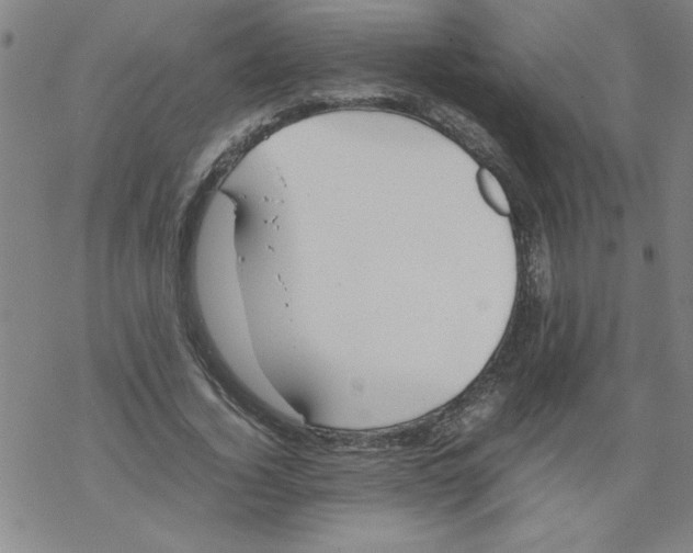 X0000067520732200605051854