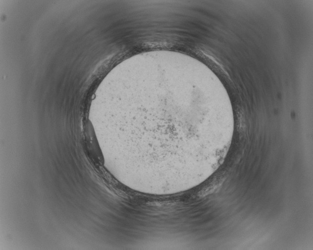 X0000067520733200605051854