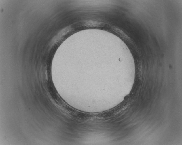 X0000067520734200605051854