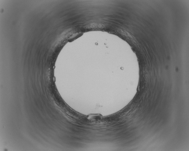 X0000067520735200605051854