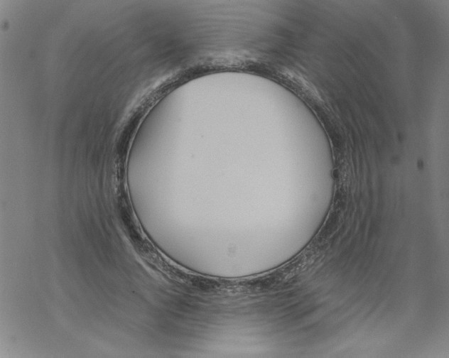 X0000067520736200605051854