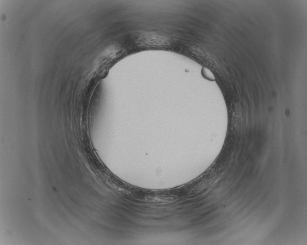 X0000067520739200605051854