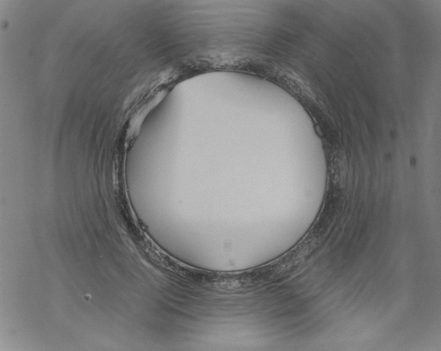 X0000067520740200605051854