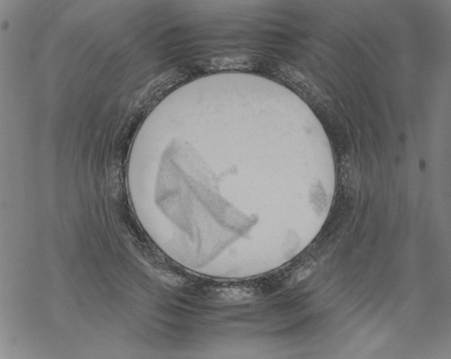 X0000067520741200605051854