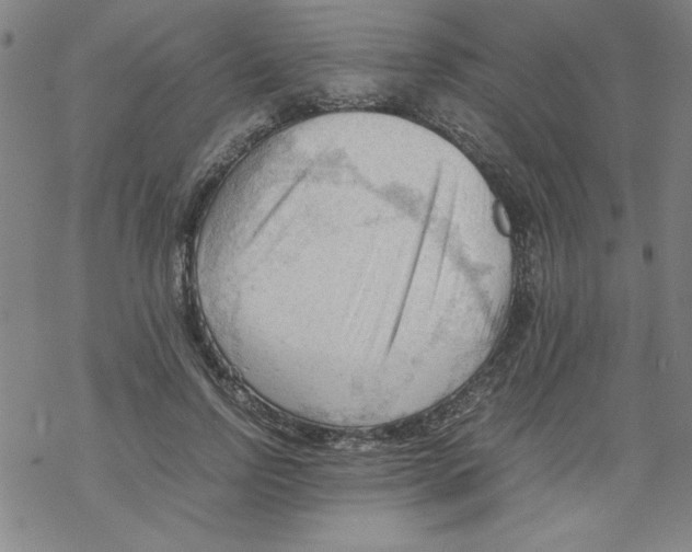 X0000067520742200605051854