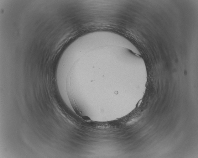 X0000067520744200605051854