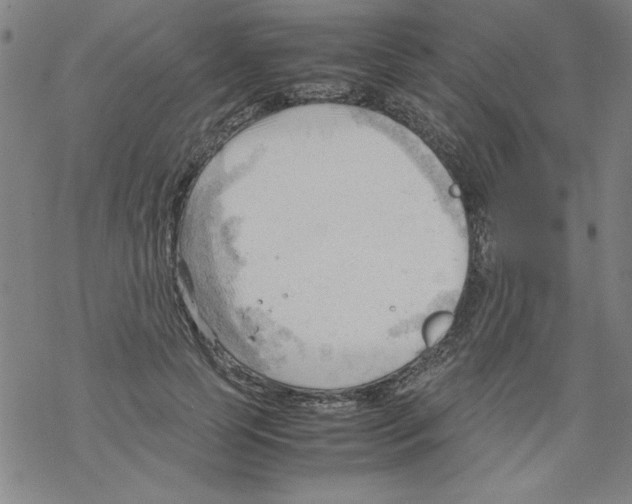 X0000067520745200605051854