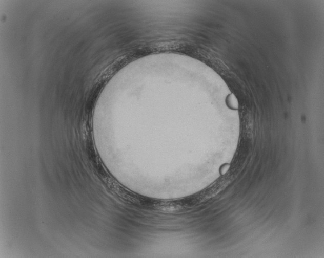 X0000067520746200605051854