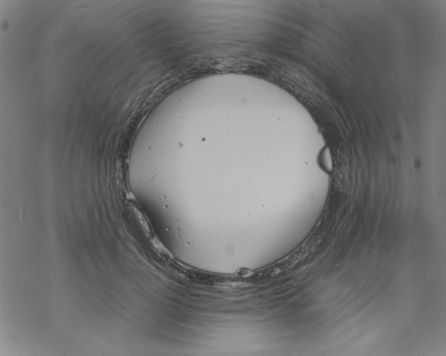 X0000067520748200605051854