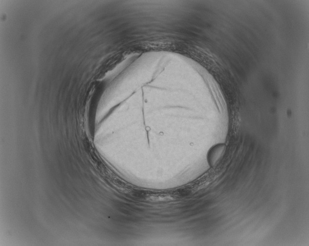 X0000067520749200605051854