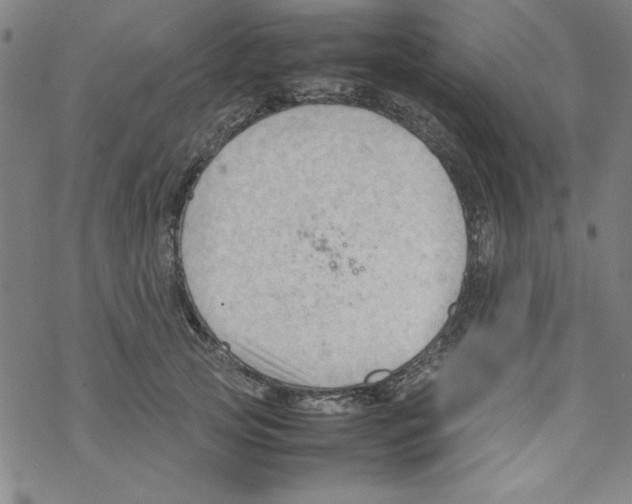 X0000067520753200605051854