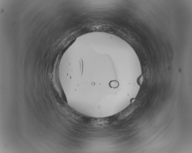 X0000067520754200605051854