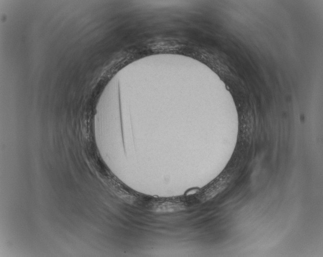 X0000067520755200605051854