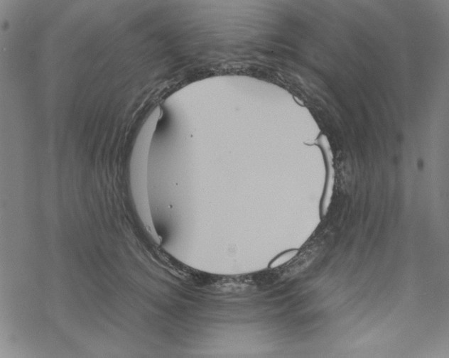 X0000067520756200605051854