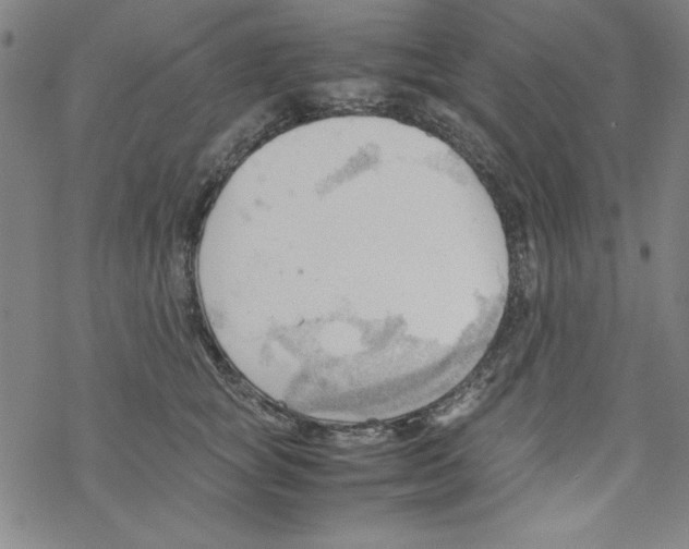 X0000067520757200605051854