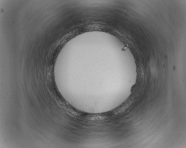 X0000067520759200605051854