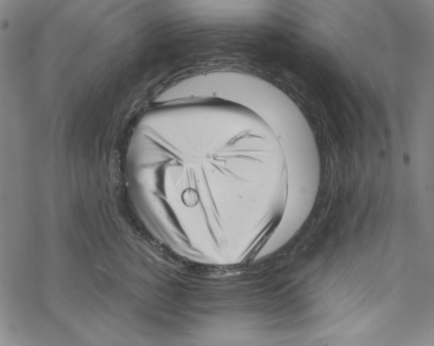 X0000067520760200605051854