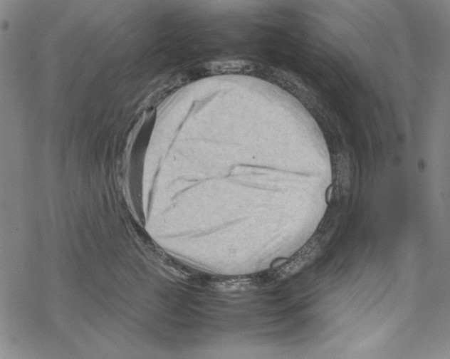 X0000067520761200605051854