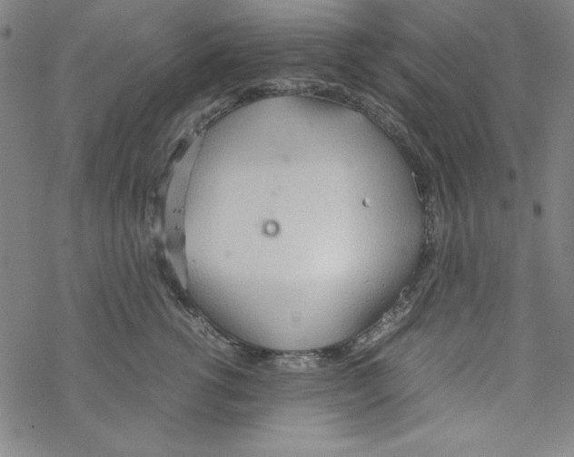 X0000067520762200605051854