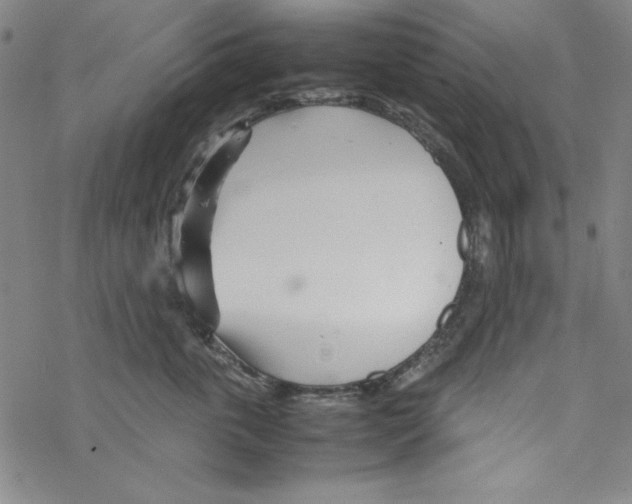 X0000067520763200605051854