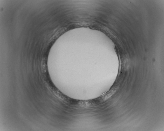 X0000067520764200605051854