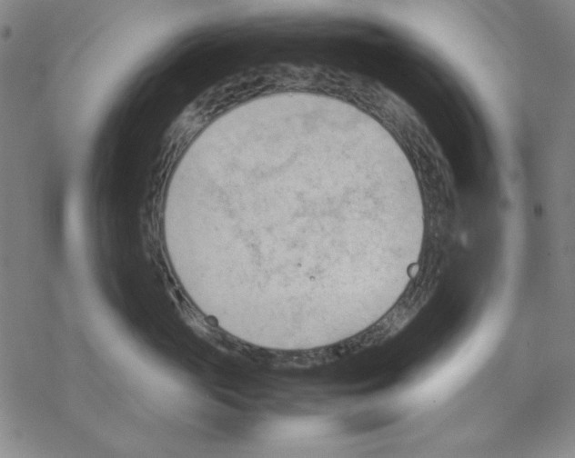 X0000067520765200605051854