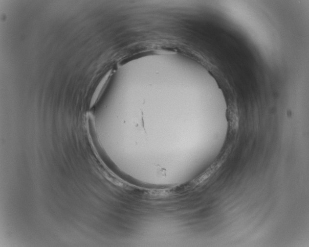 X0000067520766200605051854