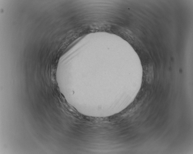 X0000067520770200605051853