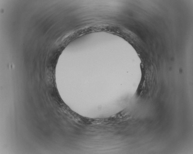 X0000067520773200605051853