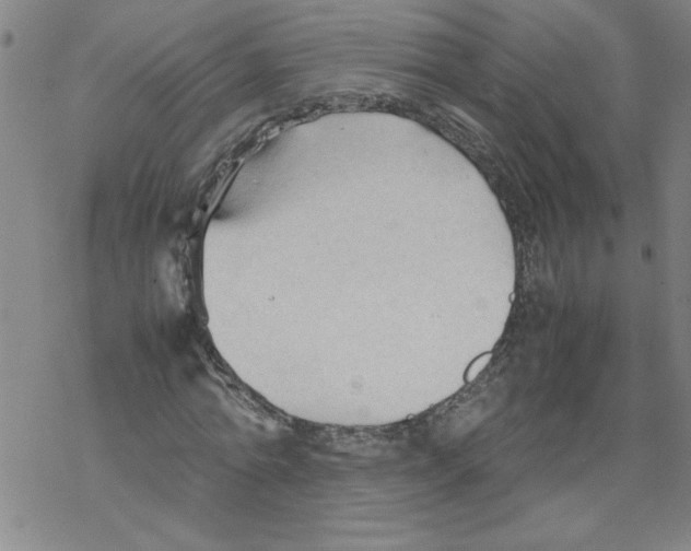 X0000067520774200605051853