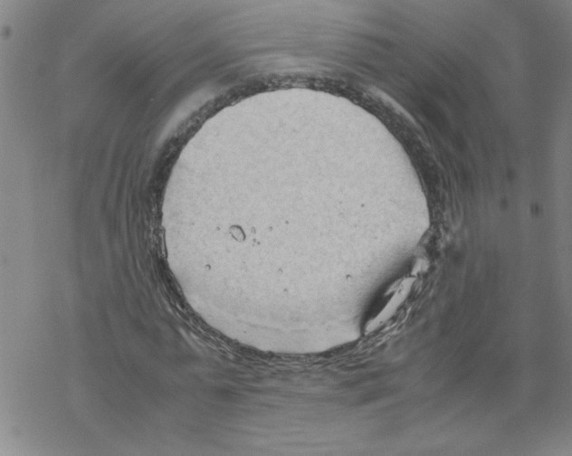 X0000067520775200605051853