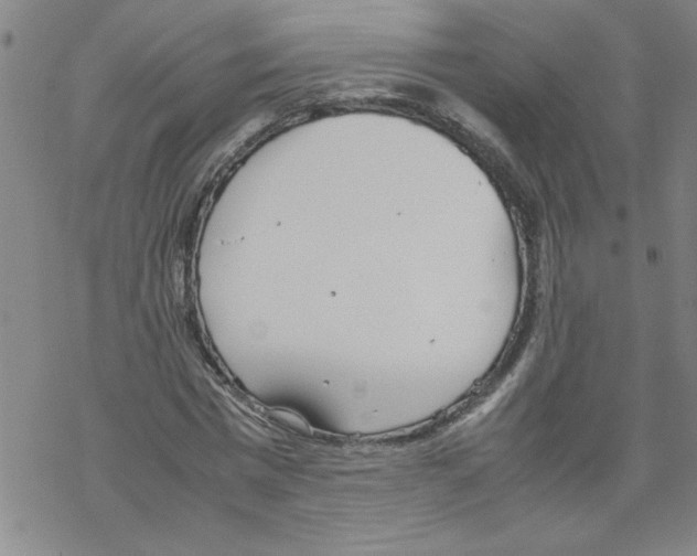 X0000067520777200605051853