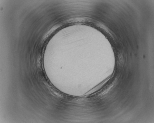 X0000067520778200605051853