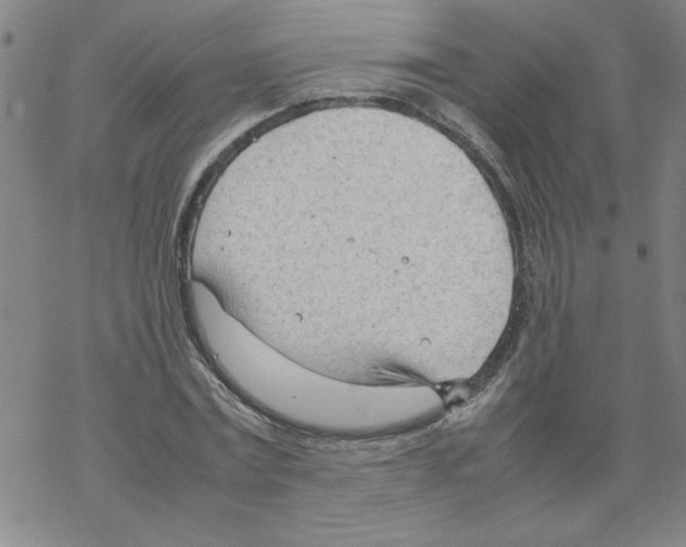 X0000067520779200605051853