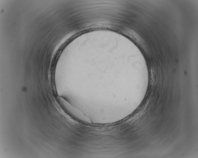 X0000067520780200605051853