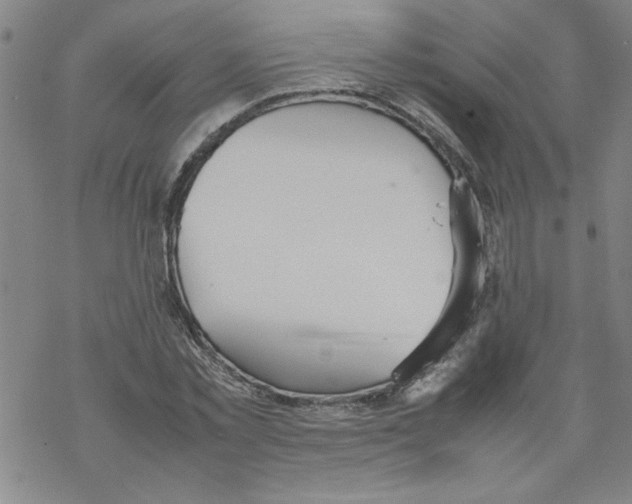 X0000067520781200605051853