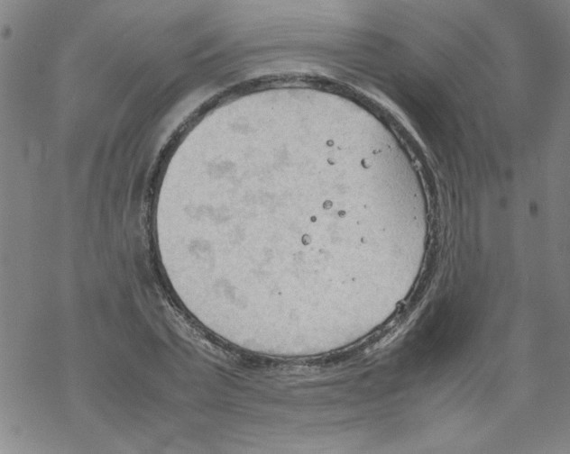 X0000067520783200605051853