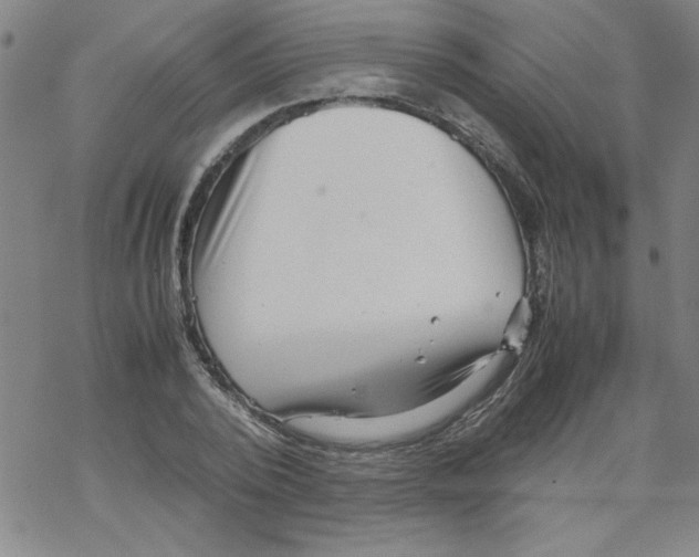 X0000067520784200605051853